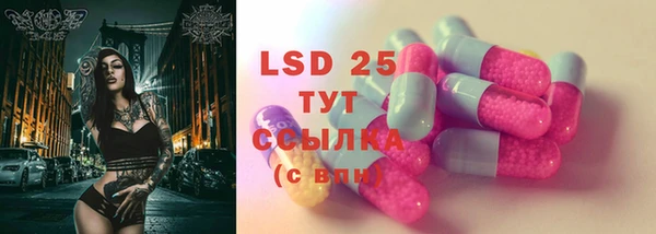 PSILOCYBIN Бугульма