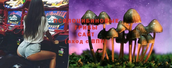 PSILOCYBIN Бугульма